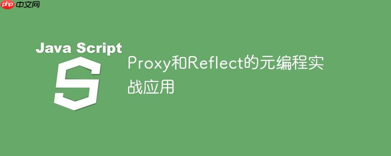 Proxy和Reflect的元编程实战应用