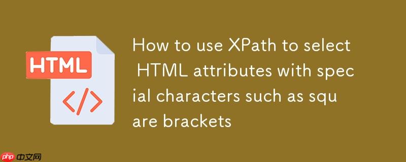如何使用XPath选择带有特殊字符（如方括号）的HTML属性