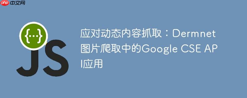 应对动态内容抓取：Dermnet图片爬取中的Google CSE API应用