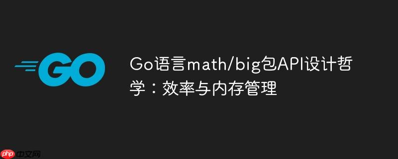 Go语言math/big包API设计哲学：效率与内存管理