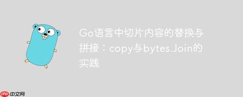Go语言中切片内容的替换与拼接：copy与bytes.Join的实践