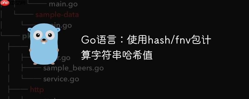 Go语言：使用hash/fnv包计算字符串哈希值