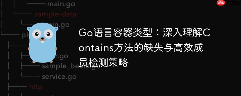 Go语言容器类型：深入理解Contains方法的缺失与高效成员检测策略
