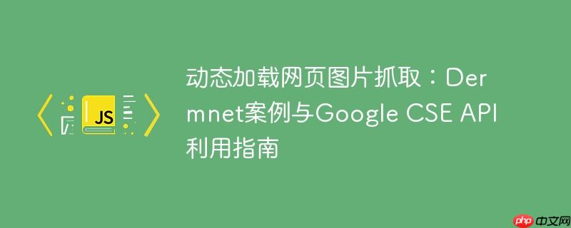 动态加载网页图片抓取：Dermnet案例与Google CSE API利用指南