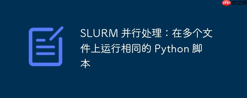 SLURM 并行处理：在多个文件上运行相同的 Python 脚本