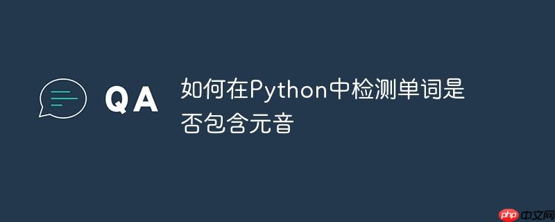 如何在Python中检测单词是否包含元音