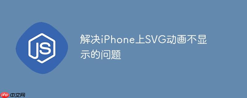 解决iPhone上SVG动画不显示的问题
