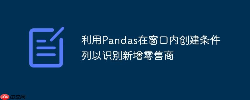 利用Pandas在窗口内创建条件列以识别新增零售商