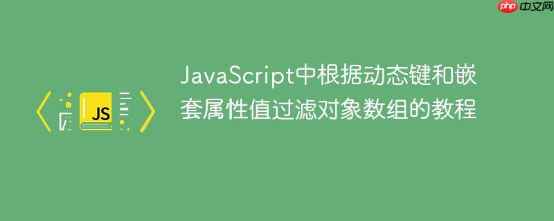 JavaScript中根据动态键和嵌套属性值过滤对象数组的教程
