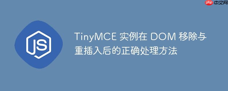 TinyMCE 实例在 DOM 移除与重插入后的正确处理方法