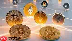 sol币和xrp币有什么区别