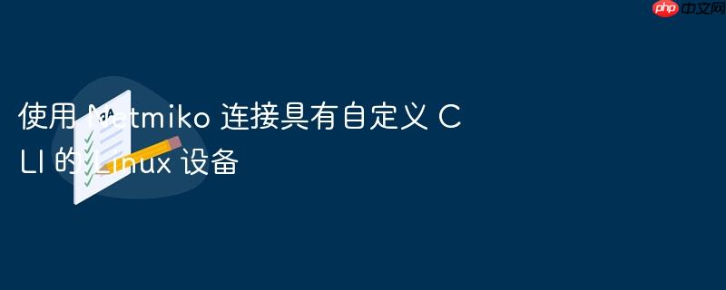 使用 Netmiko 连接具有自定义 CLI 的 Linux 设备