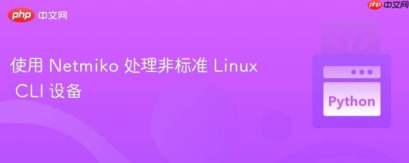 使用 netmiko 处理非标准 linux cli 设备