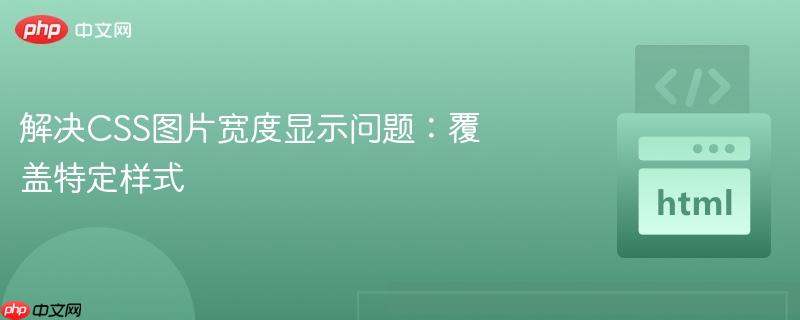 解决CSS图片宽度显示问题：覆盖特定样式