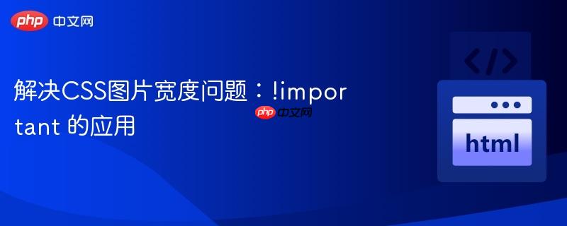 解决CSS图片宽度问题：!important 的应用
