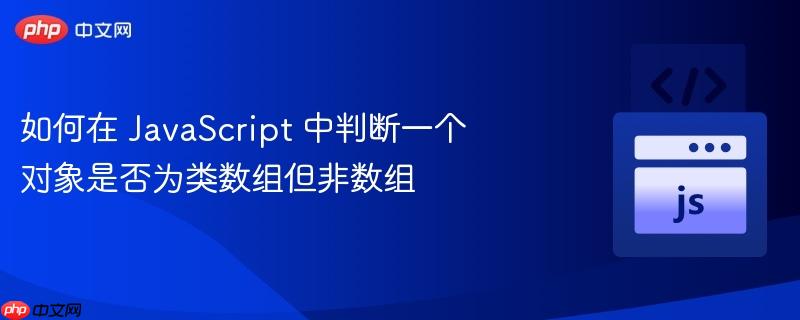 如何在 JavaScript 中判断一个对象是否为类数组但非数组