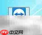 TeamViewer禁用Insider Build接收