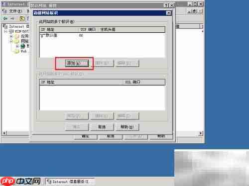 Win2003 IIS绑定域名教程