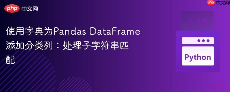 使用字典为Pandas DataFrame添加分类列：处理子字符串匹配