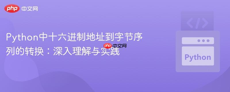 Python中十六进制地址到字节序列的转换：深入理解与实践