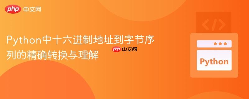 python中十六进制地址到字节序列的精确转换与理解