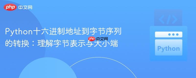 Python十六进制地址到字节序列的转换：理解字节表示与大小端