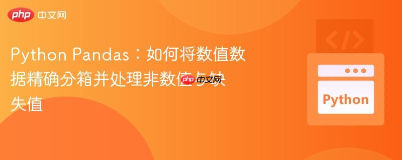 python pandas：如何将数值数据精确分箱并处理非数值与缺失值