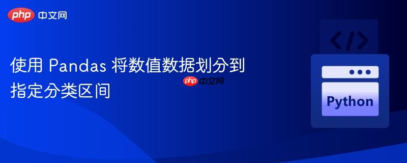 使用 pandas 将数值数据划分到指定分类区间