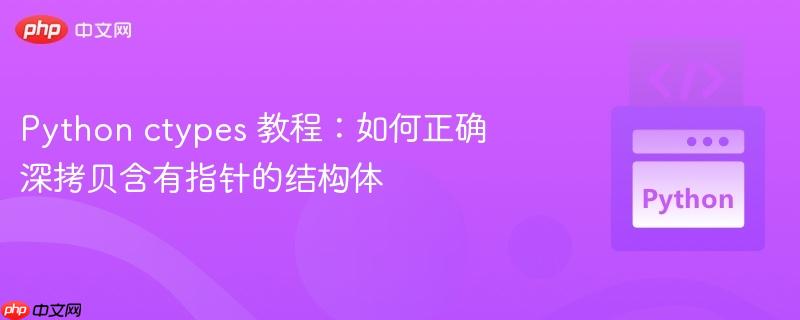 python ctypes 教程：如何正确深拷贝含有指针的结构体