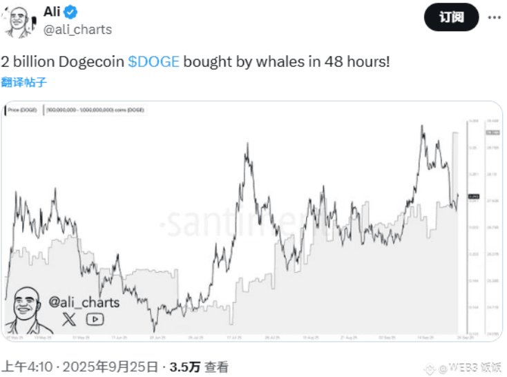 鲸鱼两天狂扫20亿DOGE！狗狗币要暴涨800%还是崩盘见血？ - 创想鸟