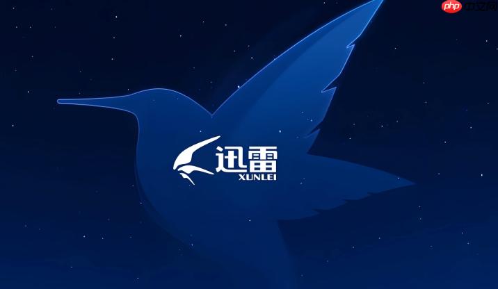 迅雷网盘如何破解下载限速 迅雷网盘会员加速的替代方案