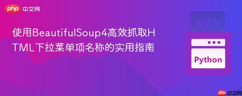 使用BeautifulSoup4高效抓取HTML下拉菜单项名称的实用指南
