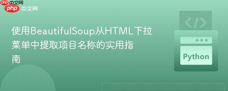 使用BeautifulSoup从HTML下拉菜单中提取项目名称的实用指南