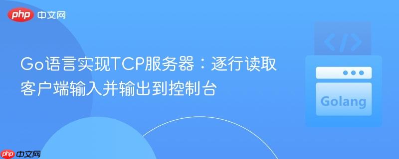 Go语言实现TCP服务器：逐行读取客户端输入并输出到控制台