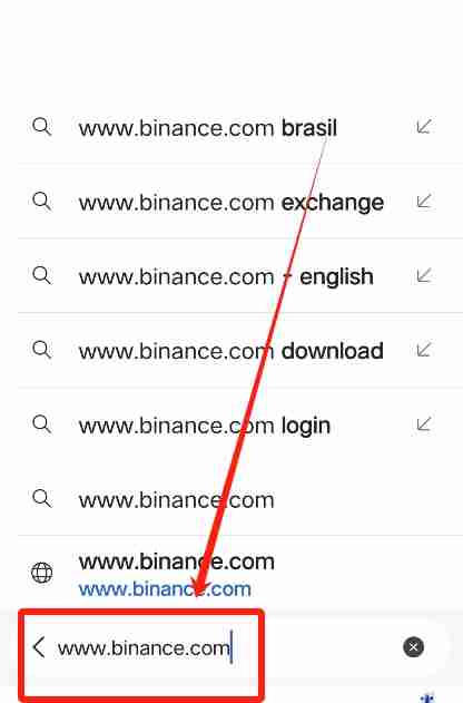 在中国苹果手机如何下载币安APP？币安中文版APP苹果手机下载指南