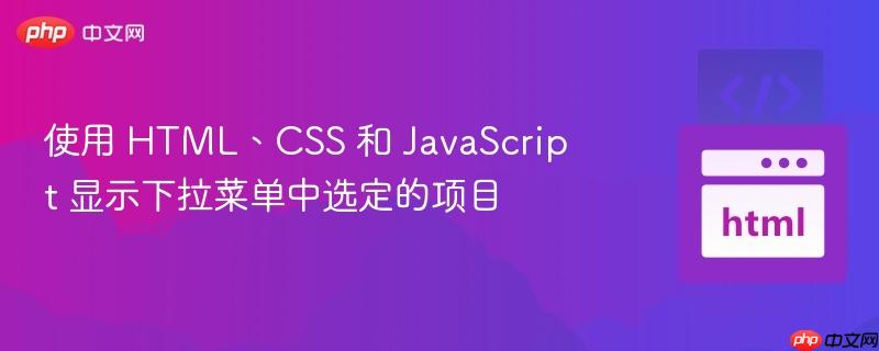 使用 HTML、CSS 和 JavaScript 显示下拉菜单中选定的项目