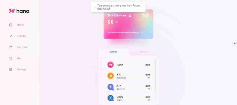 Hana Network(HANA)币是什么?值得投资吗?HANA代币经济与前景分析