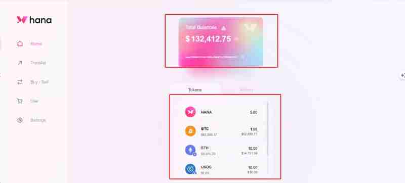 Hana Network(HANA)币是什么?值得投资吗?HANA代币经济与前景分析
