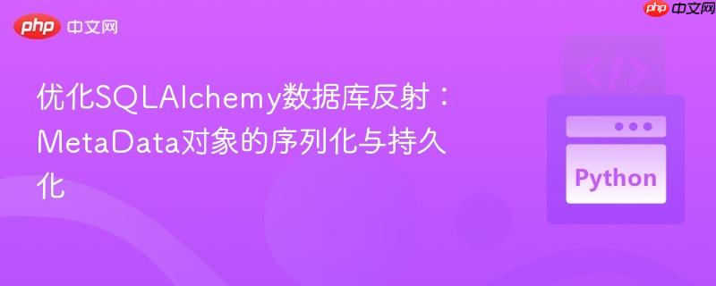 优化SQLAlchemy数据库反射：MetaData对象的序列化与持久化