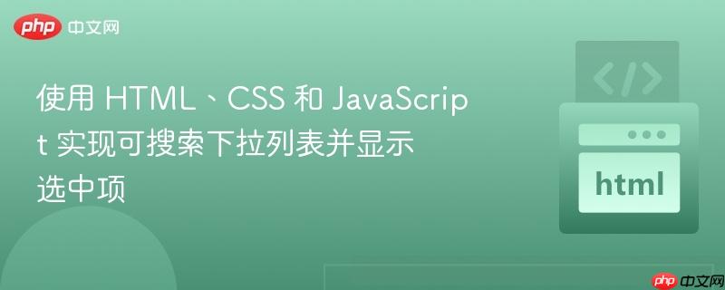使用 HTML、CSS 和 JavaScript 实现可搜索下拉列表并显示选中项