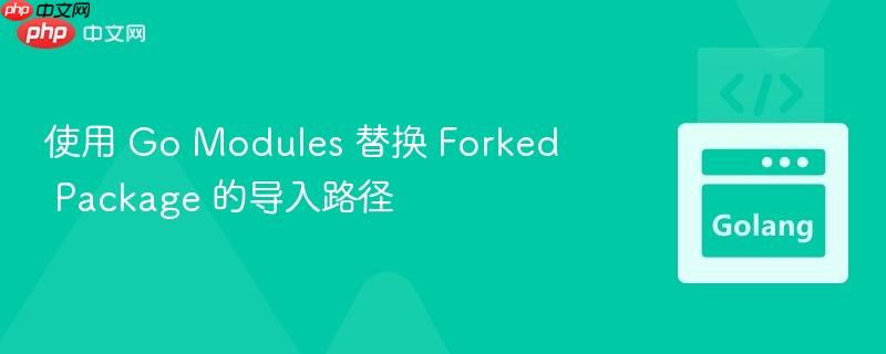 使用 Go Modules 替换 Forked Package 的导入路径
