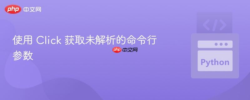 使用 Click 获取未解析的命令行参数