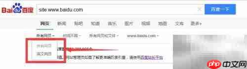 巧用site语法精准搜索