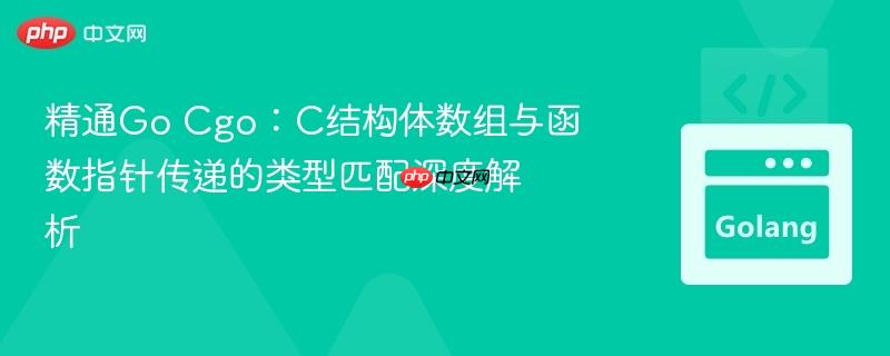 精通Go Cgo：C结构体数组与函数指针传递的类型匹配深度解析
