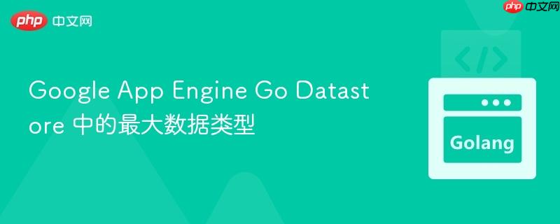 Google App Engine Go Datastore 中的最大数据类型