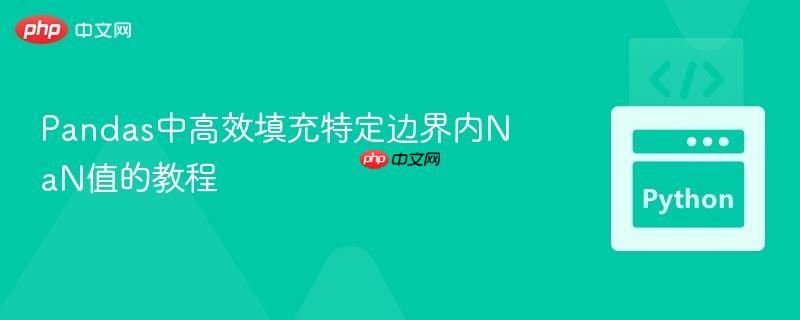 Pandas中高效填充特定边界内NaN值的教程