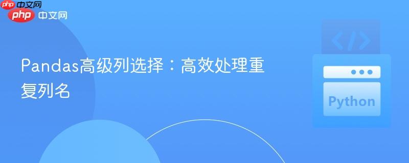 Pandas高级列选择：高效处理重复列名