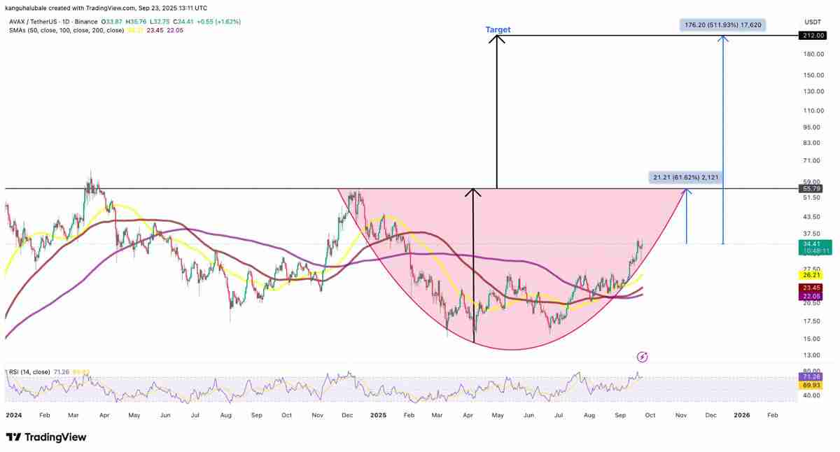 Avalanche逆势上扬，AVAX价格暴涨10%——一文了解背后原因揭秘
