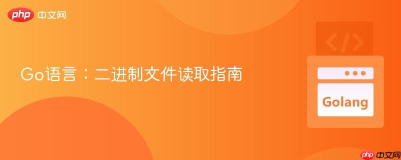 Go语言：二进制文件读取指南