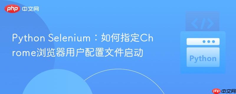 Python Selenium：如何指定Chrome浏览器用户配置文件启动